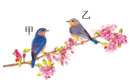 全品教育云平台：http://www.canpoint.cn